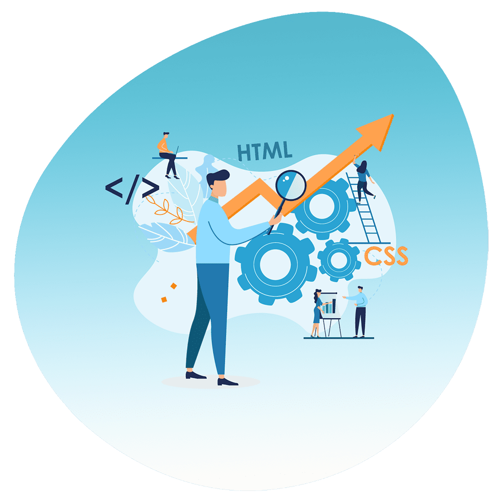 WordPress Theme Plugin